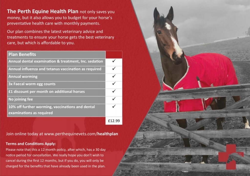 Health Plan Perth Equine Vets