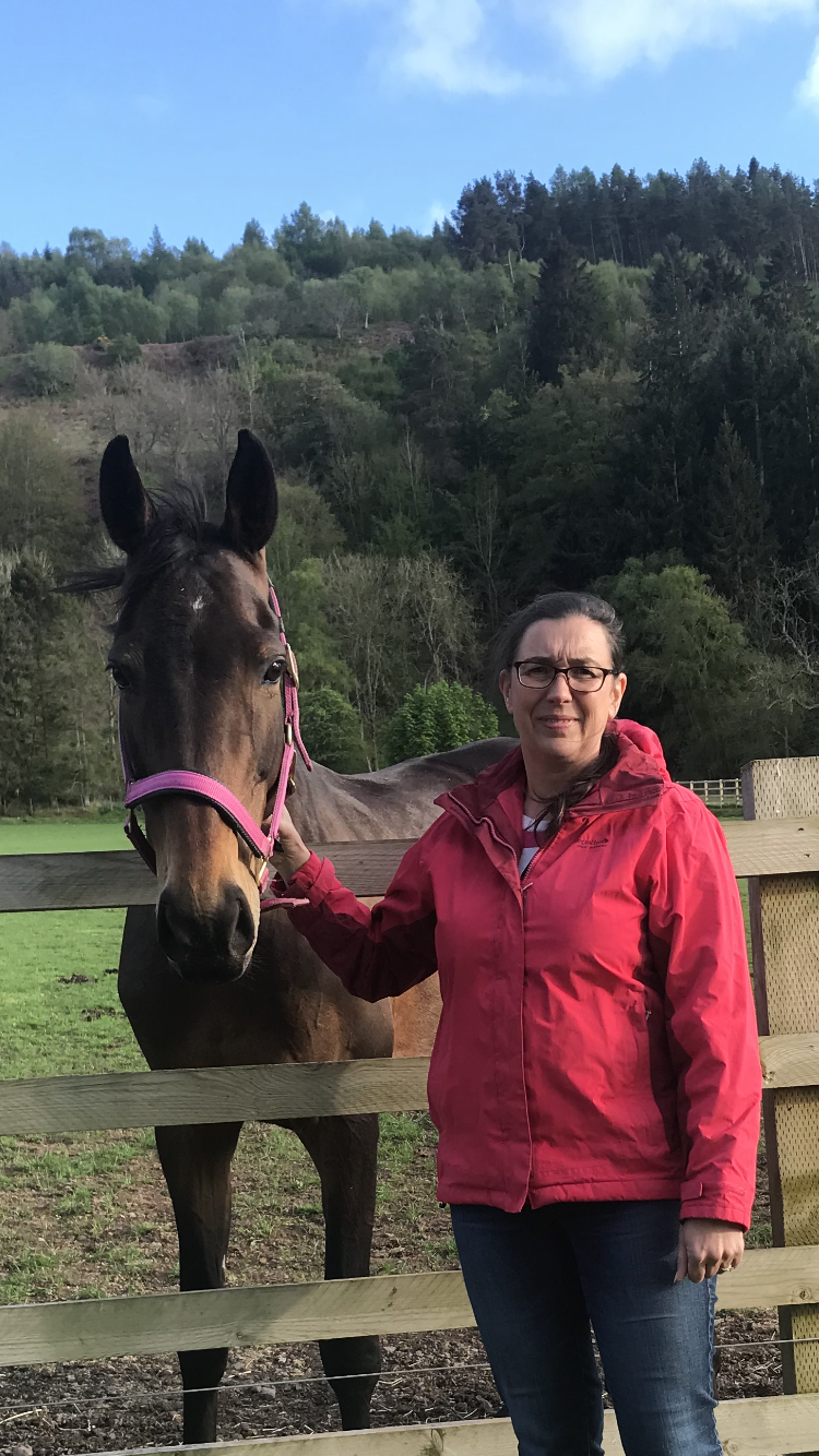 About Us Perth Equine Vets Local horse vet near me