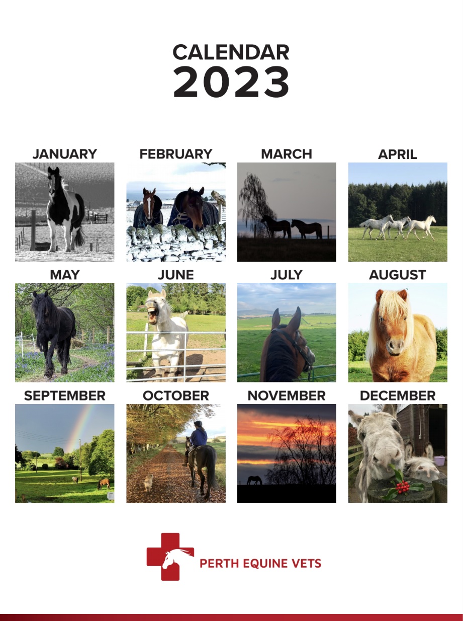 Events - Perth Equine Vets